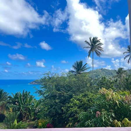 ホテル Happy Nest Dominica Marigot エクステリア 写真