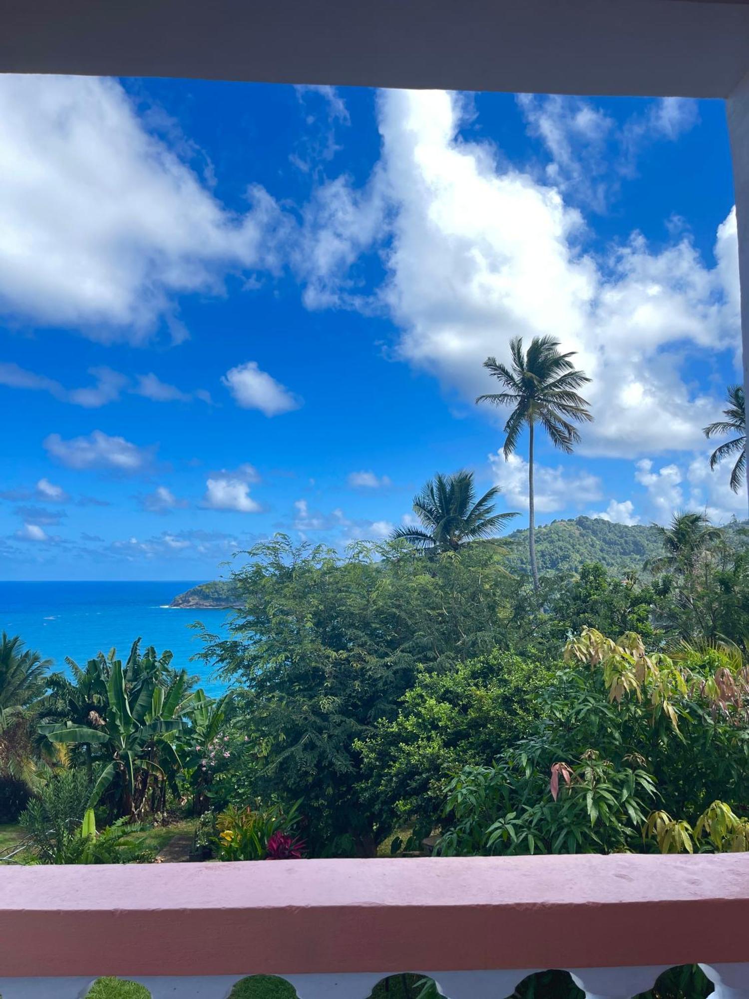 ホテル Happy Nest Dominica Marigot エクステリア 写真