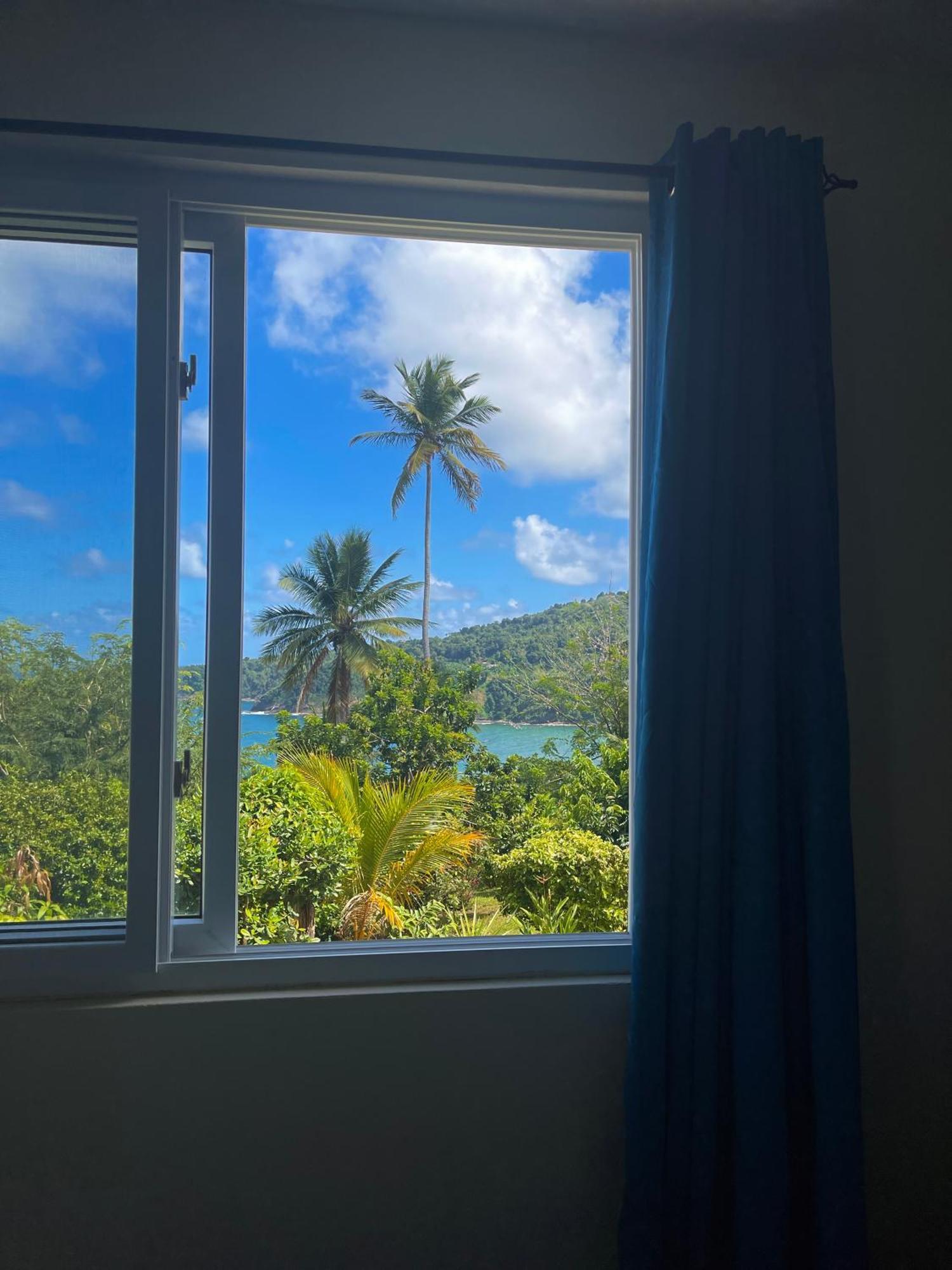 ホテル Happy Nest Dominica Marigot エクステリア 写真